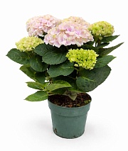 ��������� � ������ � ������������