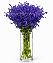 �������� ��������