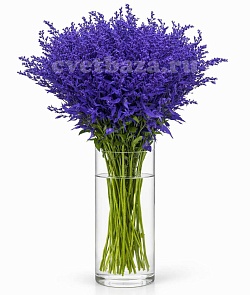 �������� ��������