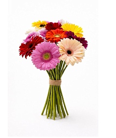 ������� � ������������ 