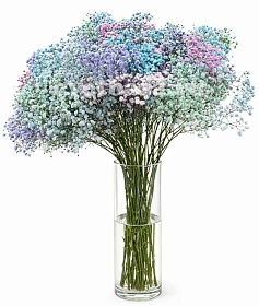 ��������� ��������