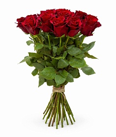 ���� ���������