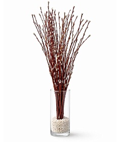 ����� (�����)