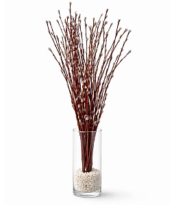 ����� (�����)