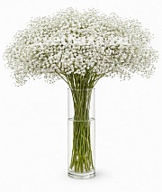 ��������� ��������