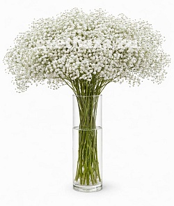 ��������� ��������