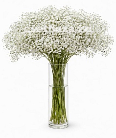 ��������� ��������