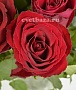 Роза 40см Красная