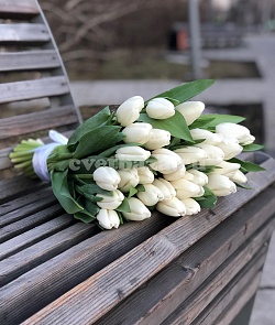Тюльпаны белые премиум