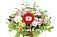 Как собрать корзинку из цветов - обучающее видео от Цветочная База №1