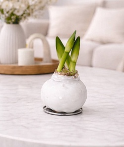 �������� (����������) � �����