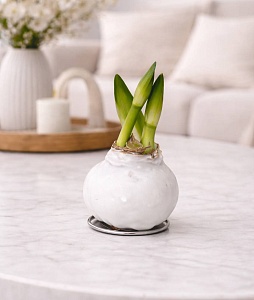 �������� (����������) � �����