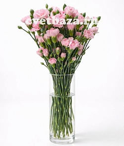 ������� ��������