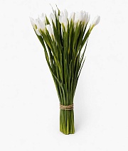 ���� �����